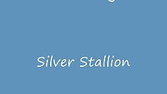 silver Stallion in Detroit